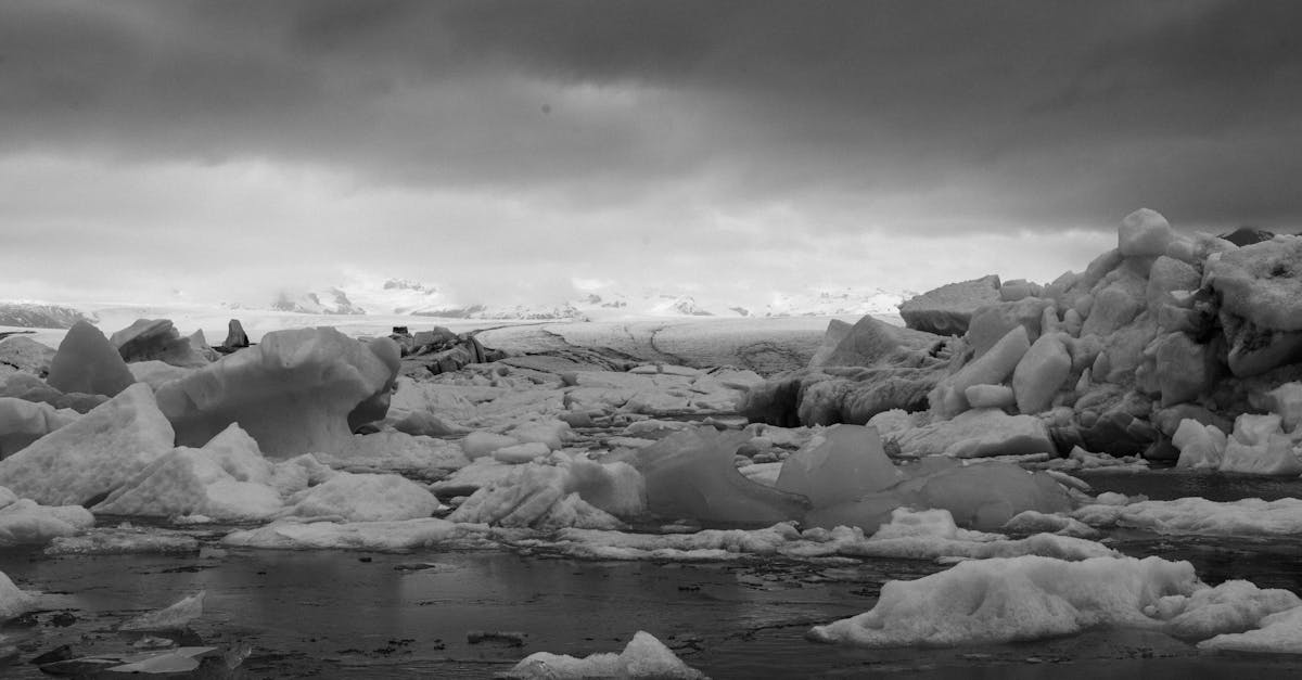 découvrez les effets du changement climatique sur l’environnement, la santé et l’économie, et comprenez pourquoi il est crucial d’agir dès maintenant pour limiter ses impacts.