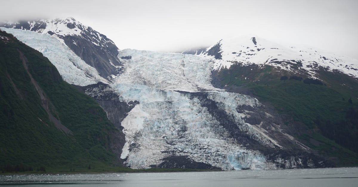 rejoignez le climate club : une communauté engagée pour lutter contre le changement climatique, partager des solutions écologiques et agir ensemble pour un avenir durable.