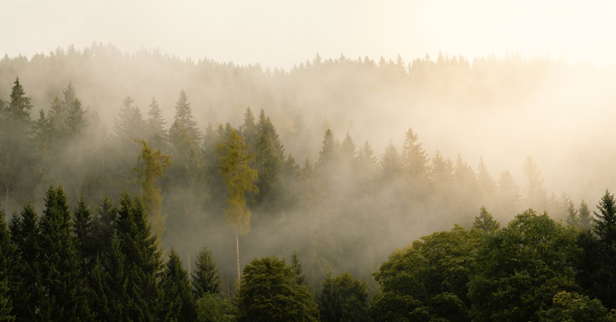 participez à une conférence sur le climat réunissant des experts et des acteurs engagés pour discuter des enjeux environnementaux, partager des solutions innovantes et agir ensemble pour un avenir plus durable.