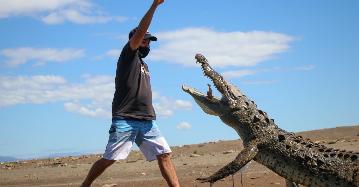 découvrez comment s'impliquer concrètement pour lutter contre le changement climatique : conseils, initiatives et ressources pour renforcer votre engagement écologique.