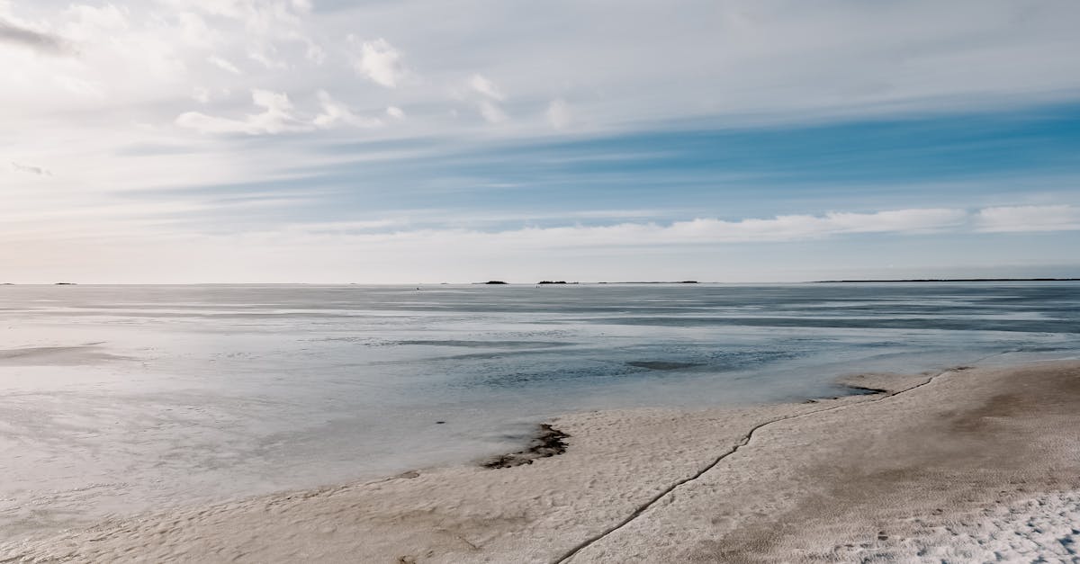 découvrez les initiatives pour lutter contre le changement climatique : actions, solutions innovantes et programmes durables pour protéger notre planète.