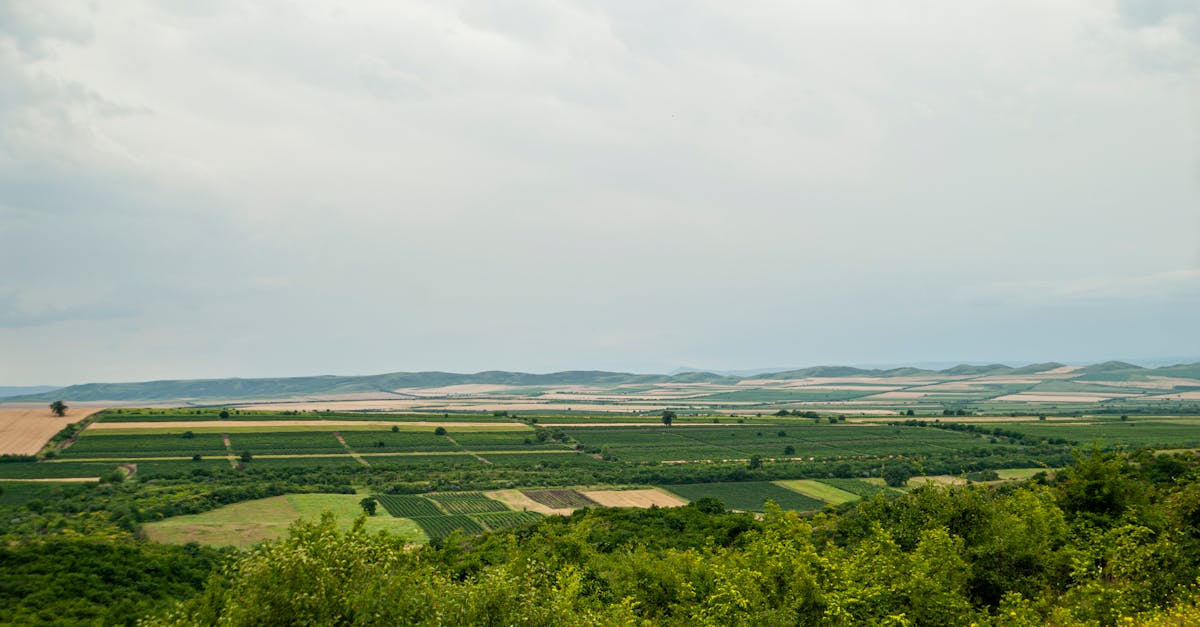 découvrez les dernières actualités, analyses et stratégies liées à la politique climatique : enjeux, solutions et actions pour lutter contre le changement climatique et protéger l’environnement.