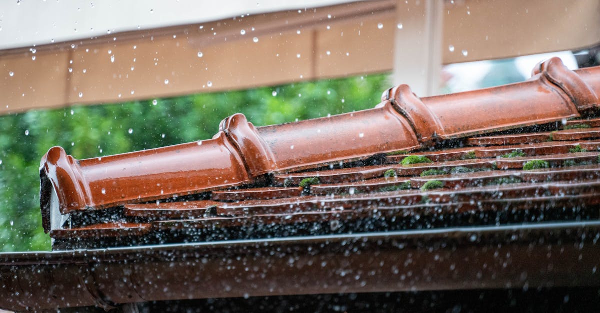 découvrez des conseils, actualités et solutions innovantes pour la protection du climat. engagez-vous pour un avenir plus durable et des actions concrètes en faveur de l'environnement.