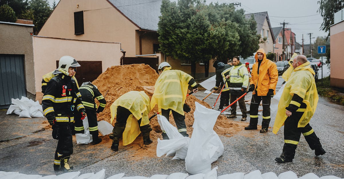 découvrez les enjeux et les solutions pour la protection du climat : actions, innovations et conseils pratiques pour préserver notre planète face au changement climatique.