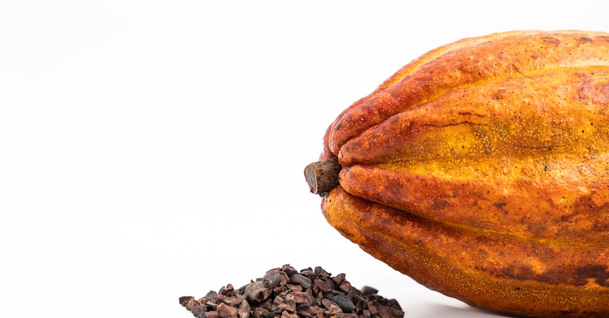 découvrez comment le chocolat résilient au climat favorise la durabilité, soutient les communautés cacaoyères et préserve la saveur authentique du chocolat face aux défis climatiques mondiaux.