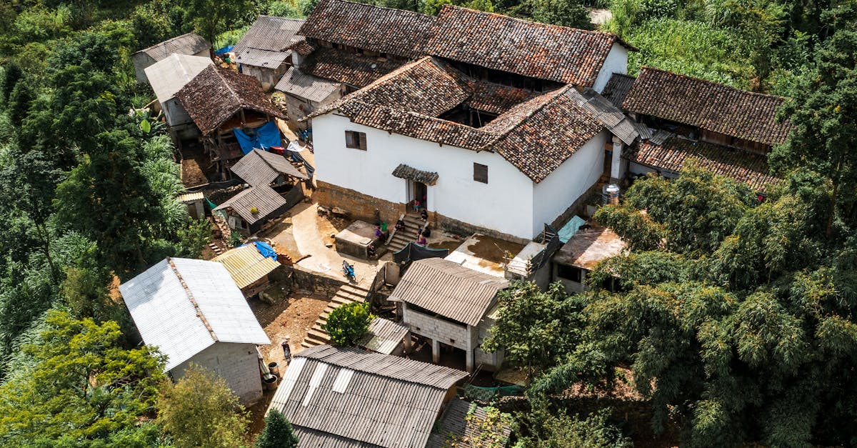 découvrez comment l'évolution écologique transforme nos sociétés, inspire des modes de vie durables et façonne l'avenir de la planète. adoptez la révolution écologique dès aujourd'hui !