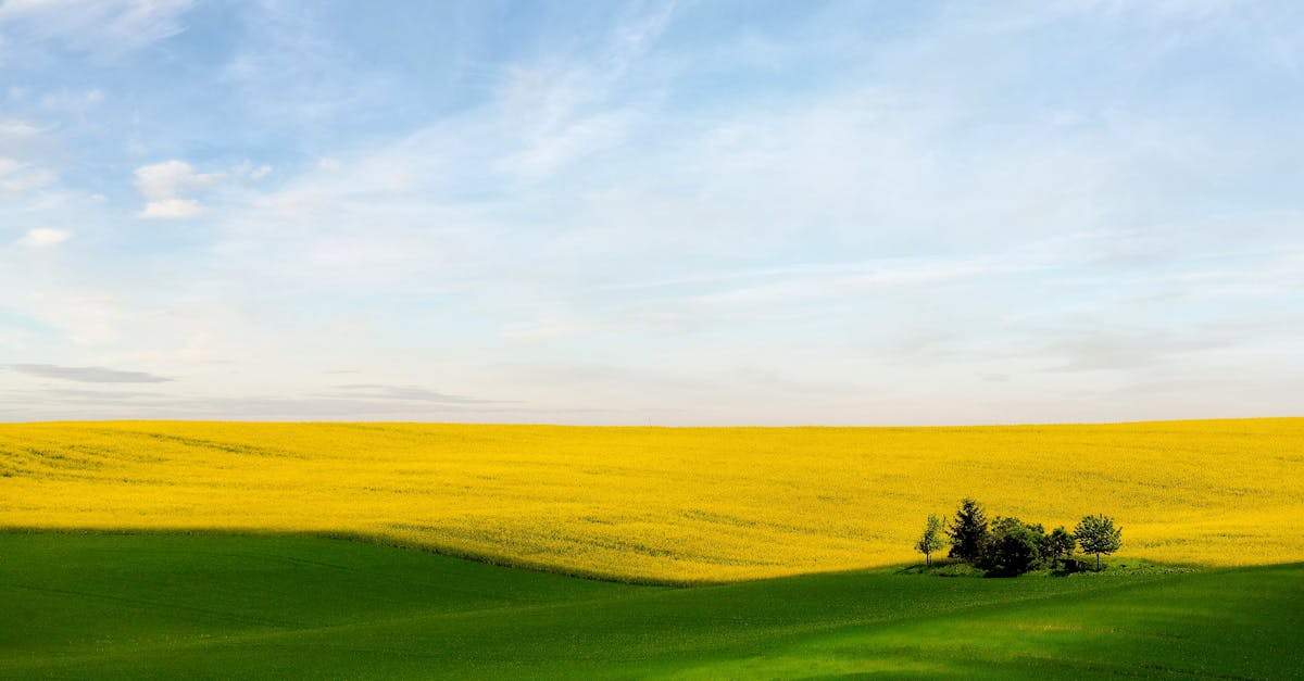 découvrez comment l'écological revolution transforme notre mode de vie, encourage des pratiques durables et façonne un avenir respectueux de l’environnement. rejoignez le mouvement pour la planète !