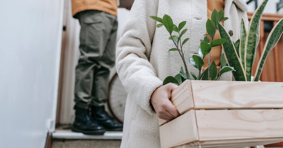 découvrez ce qu’est la transition écologique, ses enjeux, ses objectifs et comment chacun peut contribuer à un avenir plus durable et respectueux de l’environnement.