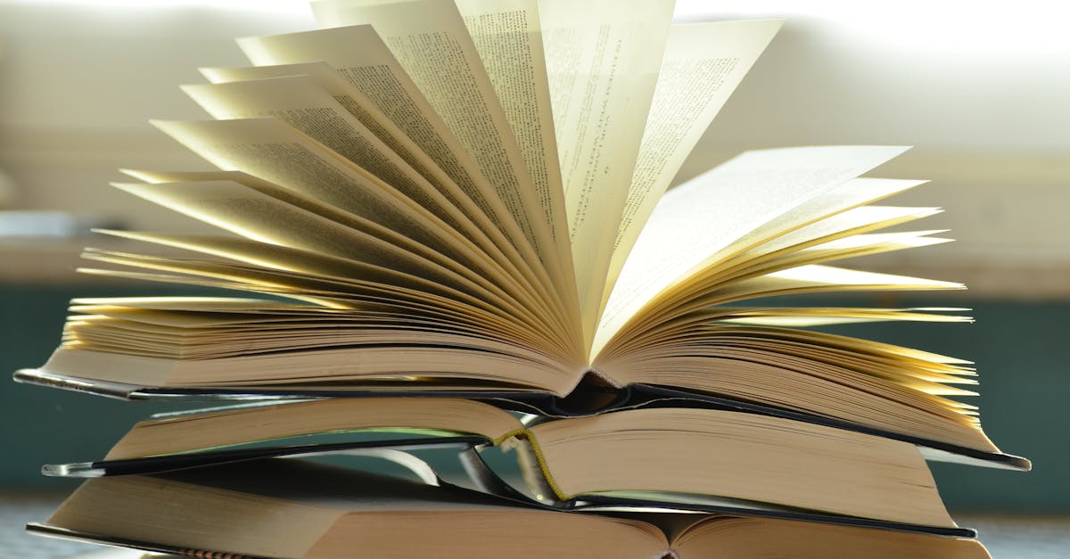 découvrez les dernières informations, conseils et ressources sur l'éducation : actualités, nouvelles méthodes pédagogiques et innovations pour tous les niveaux scolaires.