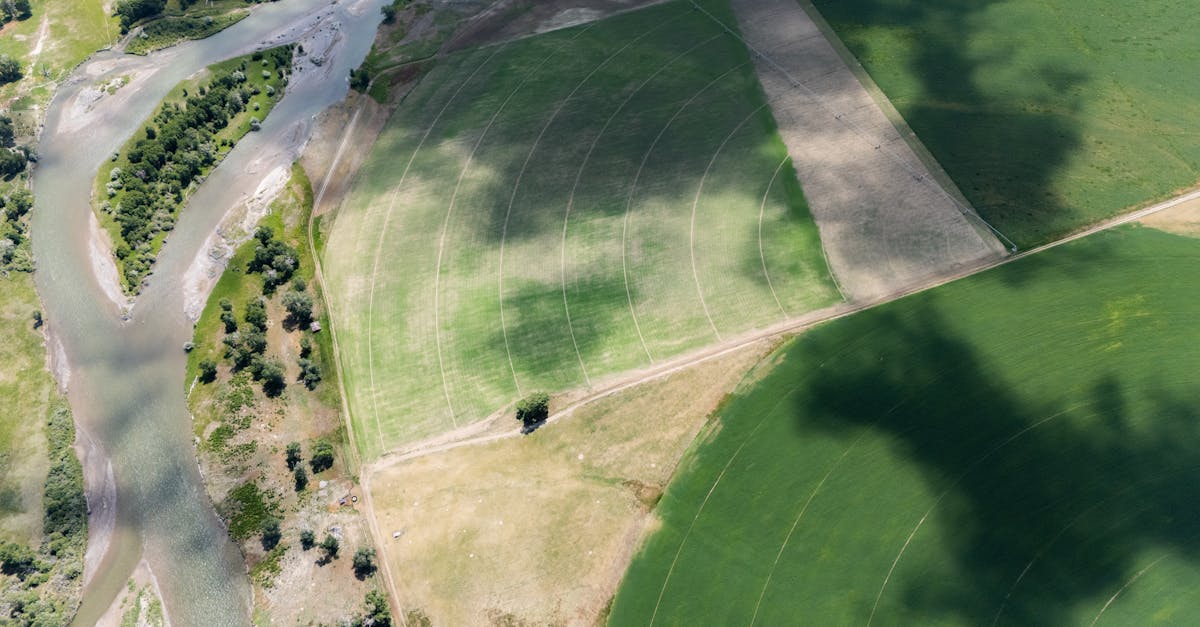 découvrez comment les décisions environnementales influencent notre quotidien et les enjeux majeurs pour un avenir durable. analyse, conseils et actualités sur la prise de décision écologique.