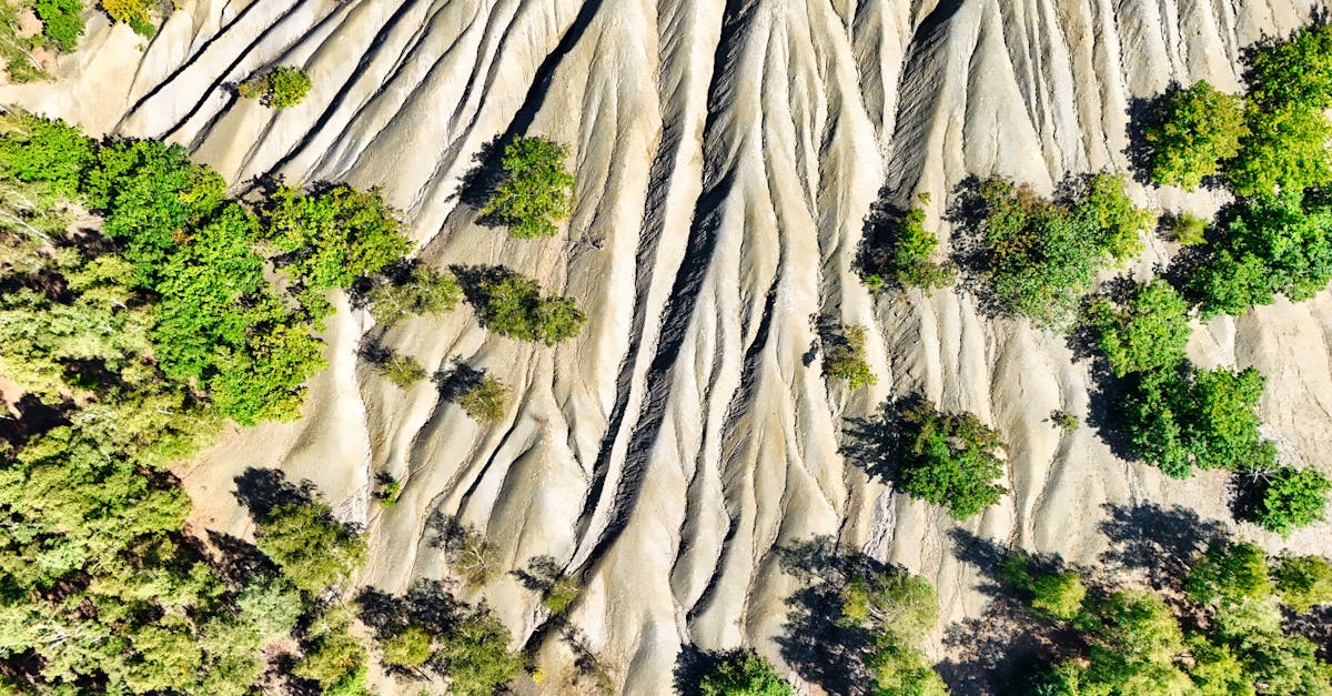 découvrez les principales politiques environnementales, leurs enjeux et impacts sur la protection de la planète. comprenez comment elles contribuent à un avenir plus durable.