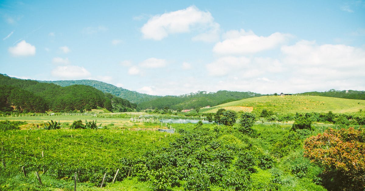 découvrez l'essentiel sur les réglementations environnementales : lois, normes applicables et leur impact sur la protection de l'environnement et le développement durable.