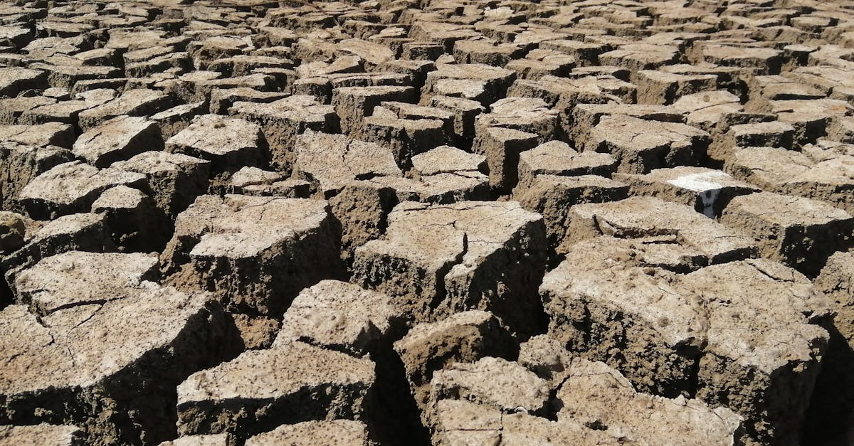 découvrez les enjeux de la vulnérabilité environnementale, ses causes, ses impacts sur les écosystèmes et les populations, ainsi que des pistes pour mieux protéger notre planète et s'adapter aux changements climatiques.
