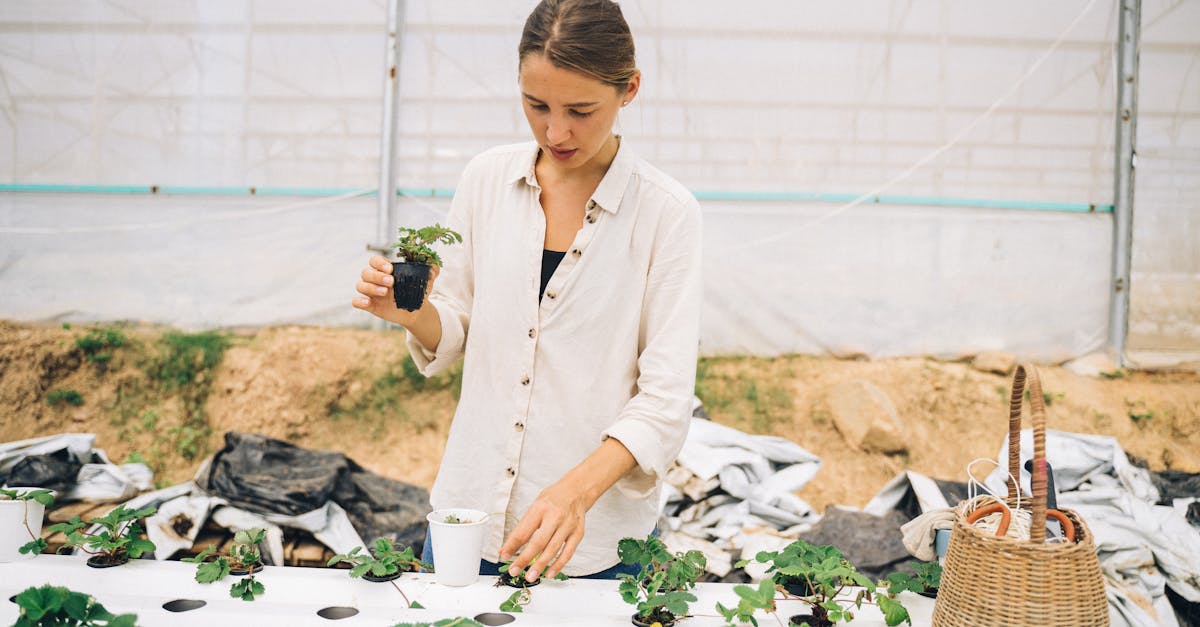 découvrez les dernières avancées et solutions en green innovation : technologies écologiques, développement durable et innovations vertes pour un avenir respectueux de l'environnement.