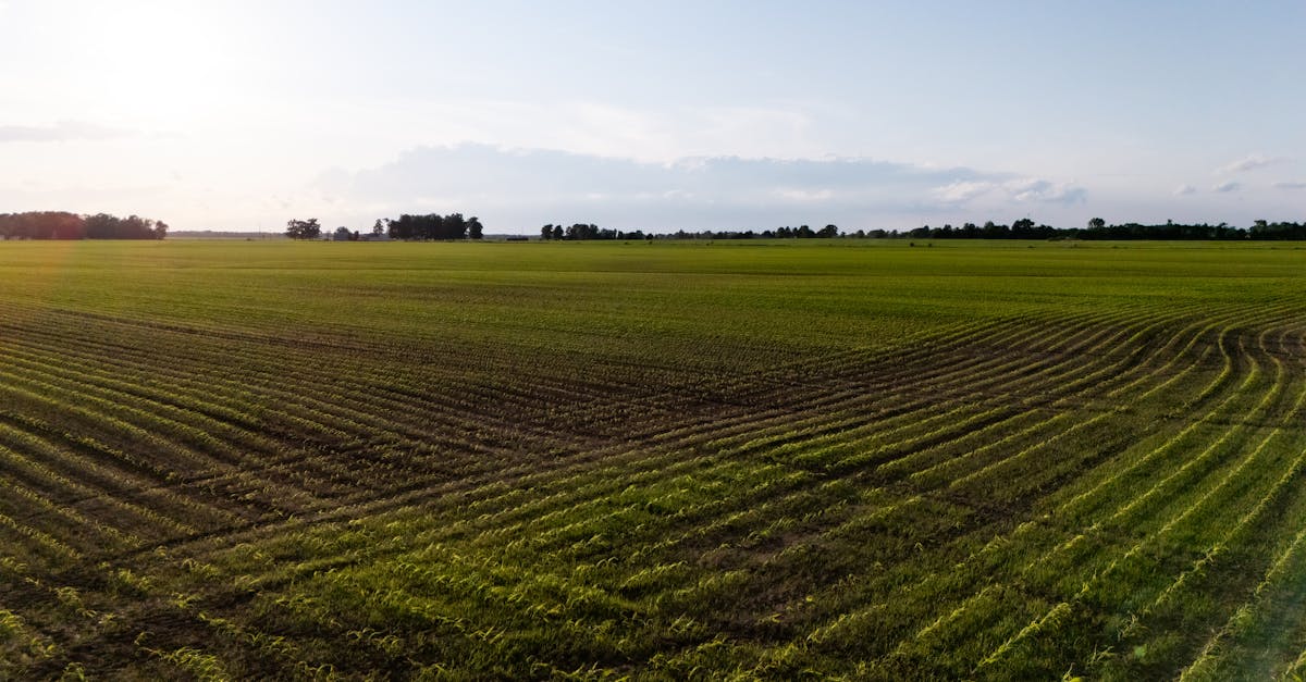 découvrez les technologies vertes : innovations écologiques pour préserver l’environnement, réduire l’empreinte carbone et favoriser le développement durable dans tous les secteurs.