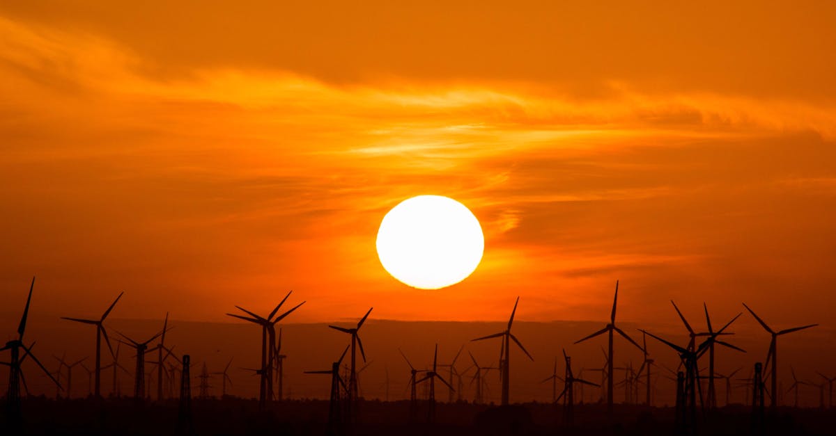 découvrez les avantages et les solutions de l'énergie renouvelable : éolienne, solaire, hydraulique et plus encore pour un avenir durable et écologique.