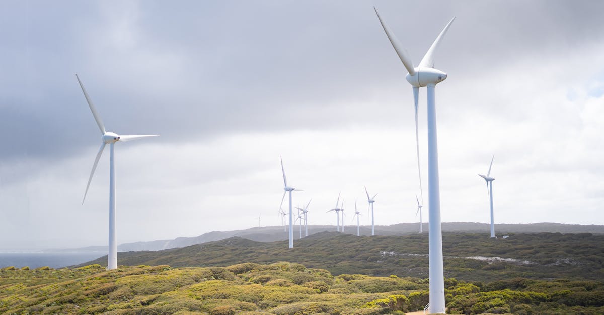 découvrez les énergies renouvelables : solutions durables pour produire de l'électricité, préserver l'environnement et réduire les émissions de co2. informez-vous sur les avantages et les innovations de l'énergie verte.