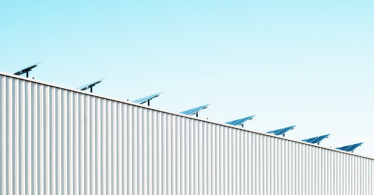 découvrez les principes et les enjeux de la sustainability : conseils, actualités et solutions pour un mode de vie plus respectueux de l’environnement et responsable pour un avenir durable.