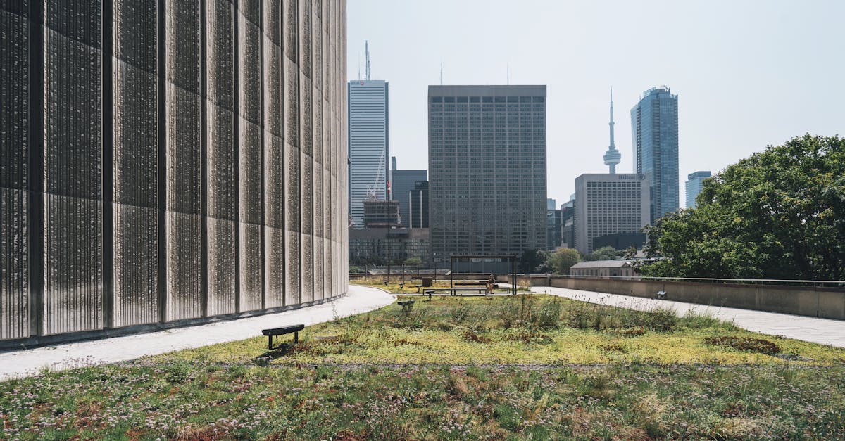découvrez comment la durabilité transforme nos modes de vie, nos entreprises et notre environnement. explorez des solutions innovantes pour bâtir un avenir plus responsable et respectueux de la planète.