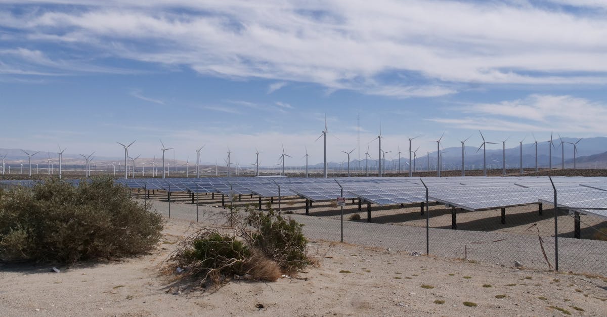 découvrez les solutions innovantes pour une énergie durable, respectueuse de l’environnement, qui favorisent la transition écologique et l’indépendance énergétique.
