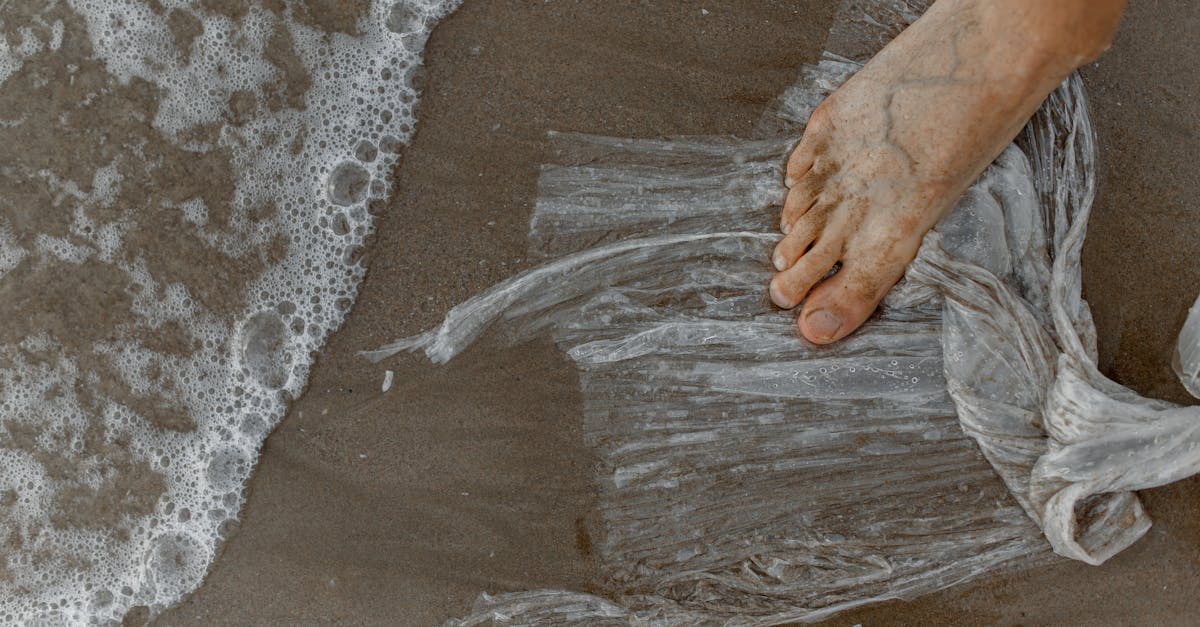 découvrez comment adopter une empreinte durable pour protéger l’environnement tout en améliorant votre mode de vie grâce à des gestes responsables et des choix écoresponsables.