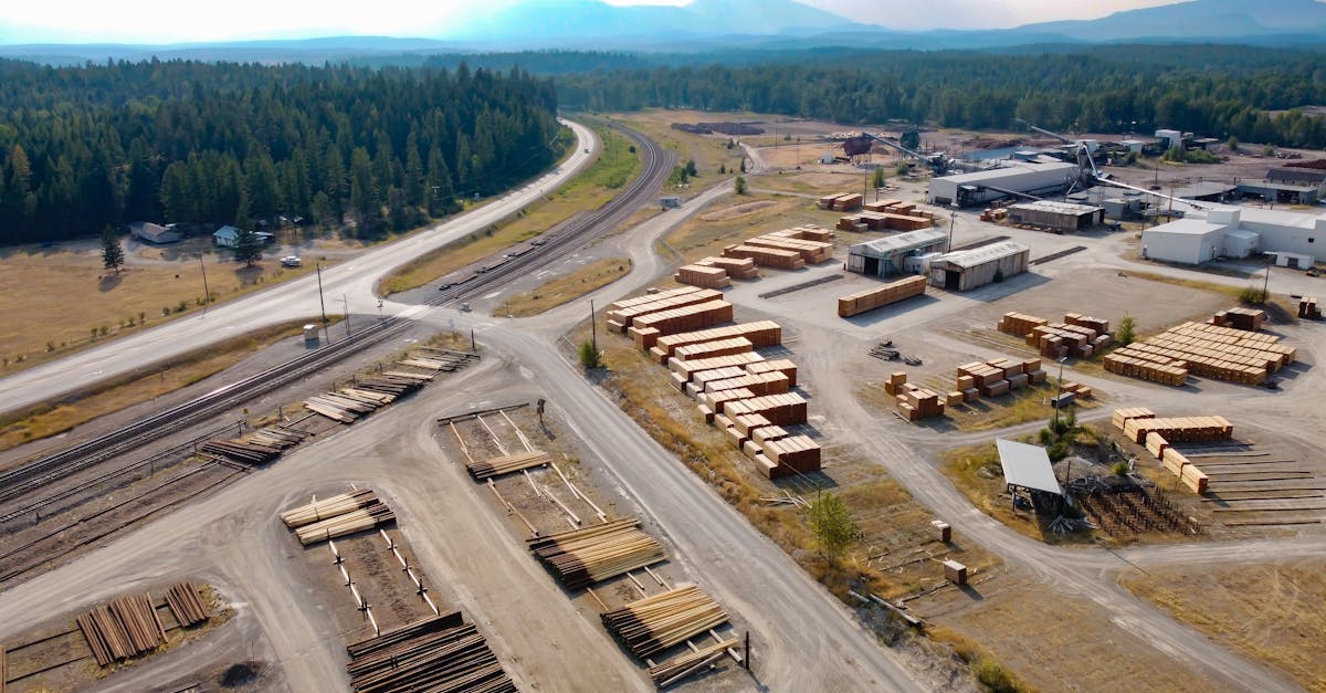 découvrez comment le management durable de la chaîne d'approvisionnement optimise les processus logistiques tout en respectant l'environnement et en favorisant la responsabilité sociale des entreprises.