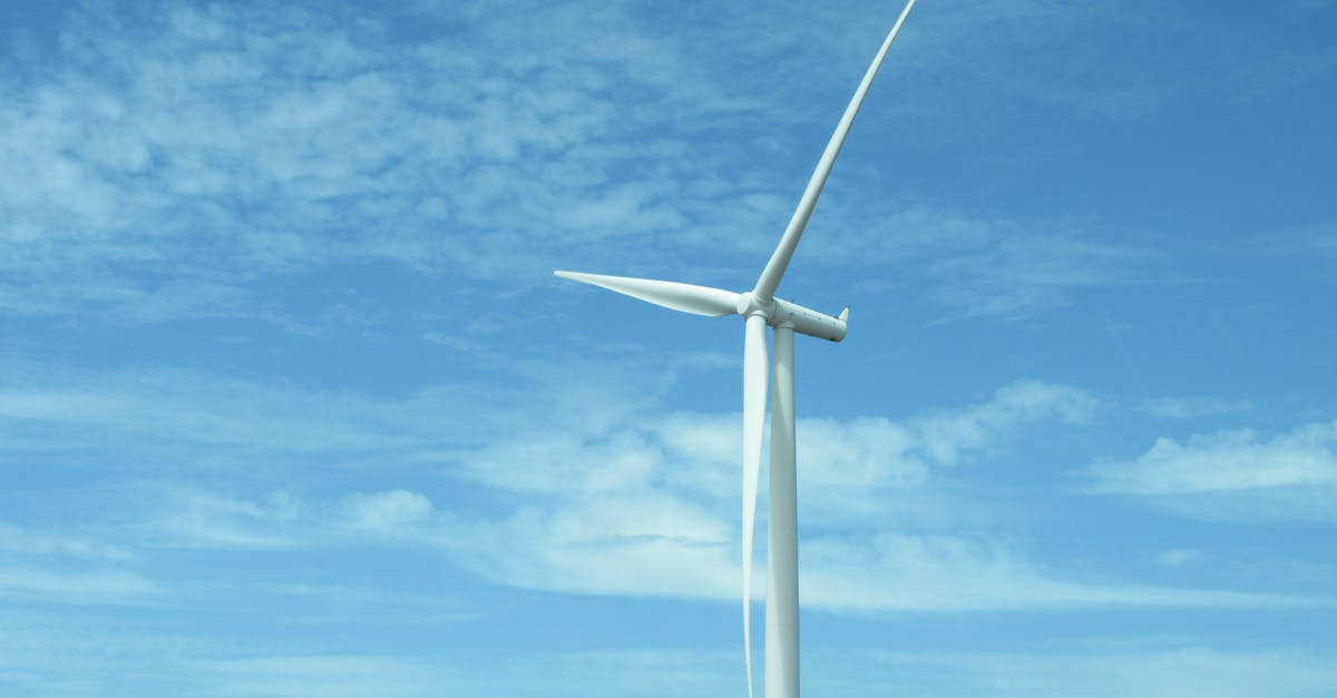 découvrez comment la technologie durable révolutionne les industries et contribue à protéger l’environnement tout en favorisant l’innovation et l’efficacité énergétique.