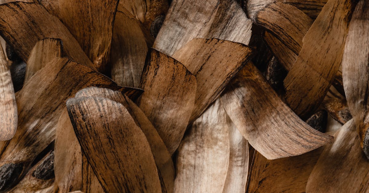 découvrez comment adopter une consommation de textiles durable, réduire l'impact environnemental de vos achats et choisir des vêtements respectueux de la planète. conseils, tendances et solutions pour un avenir plus responsable.
