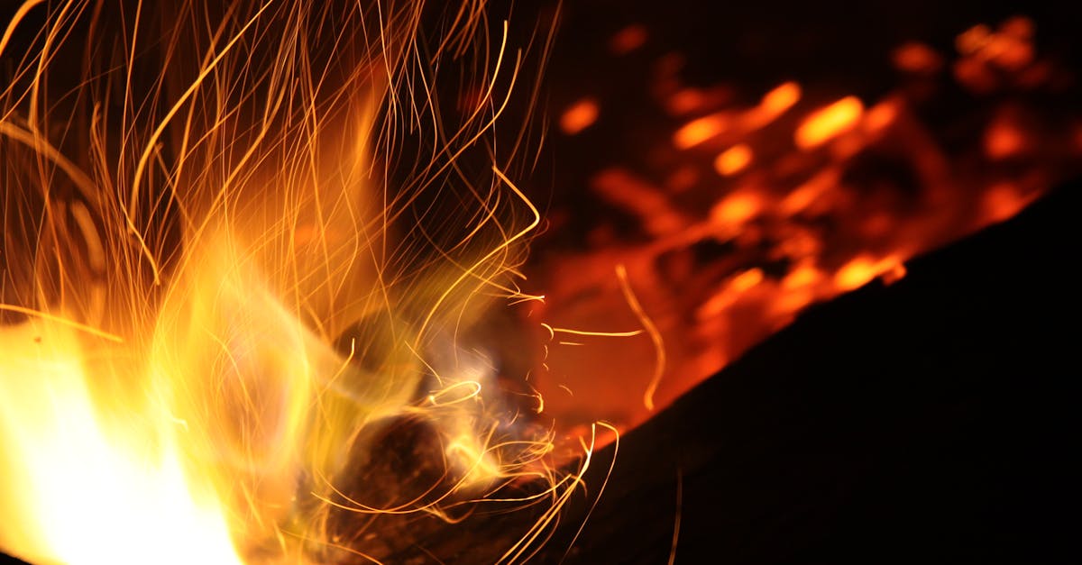 découvrez tout ce qu'il faut savoir sur les incendies de forêt : causes, impacts environnementaux, prévention et conseils pour protéger votre environnement contre les feux de forêt en france et dans le monde.