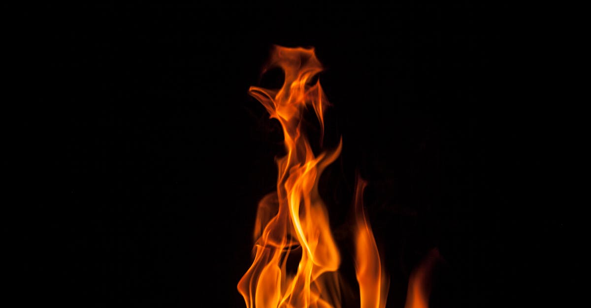 découvrez les causes, conséquences et solutions face aux feux de forêt. informez-vous sur l'impact des incendies sur l'environnement et les mesures de prévention pour limiter les risques.