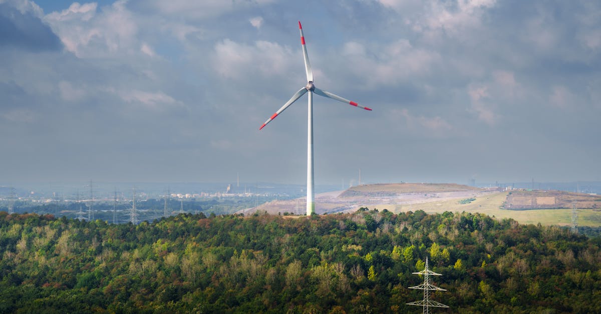 Bilan des avancées de l’Union européenne vers un avenir climatiquement neutre – Analyse du rapport ECNO 2025