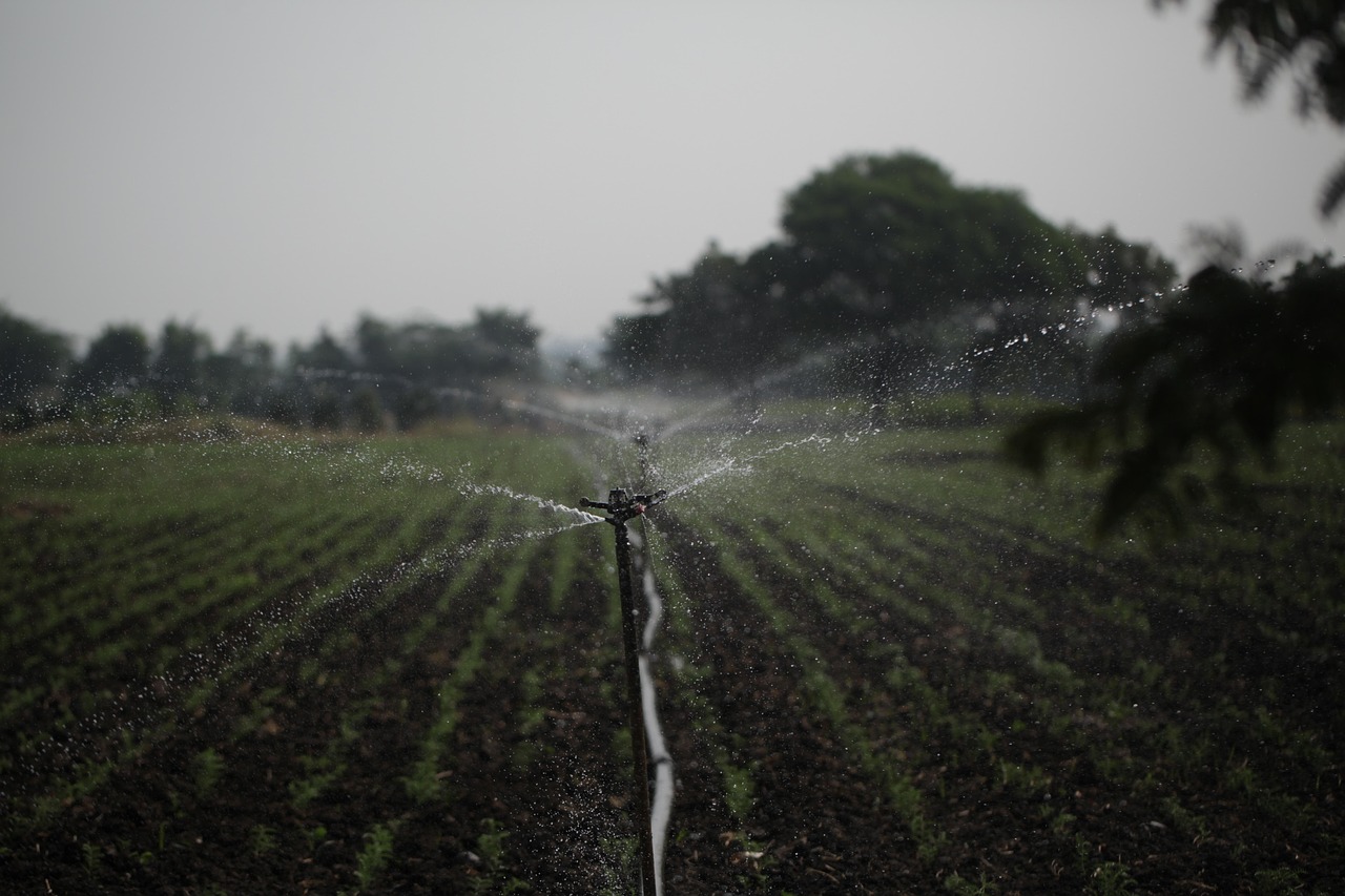 Économie d’eau dans la salle de bain : astuces efficaces pour réduire votre consommation