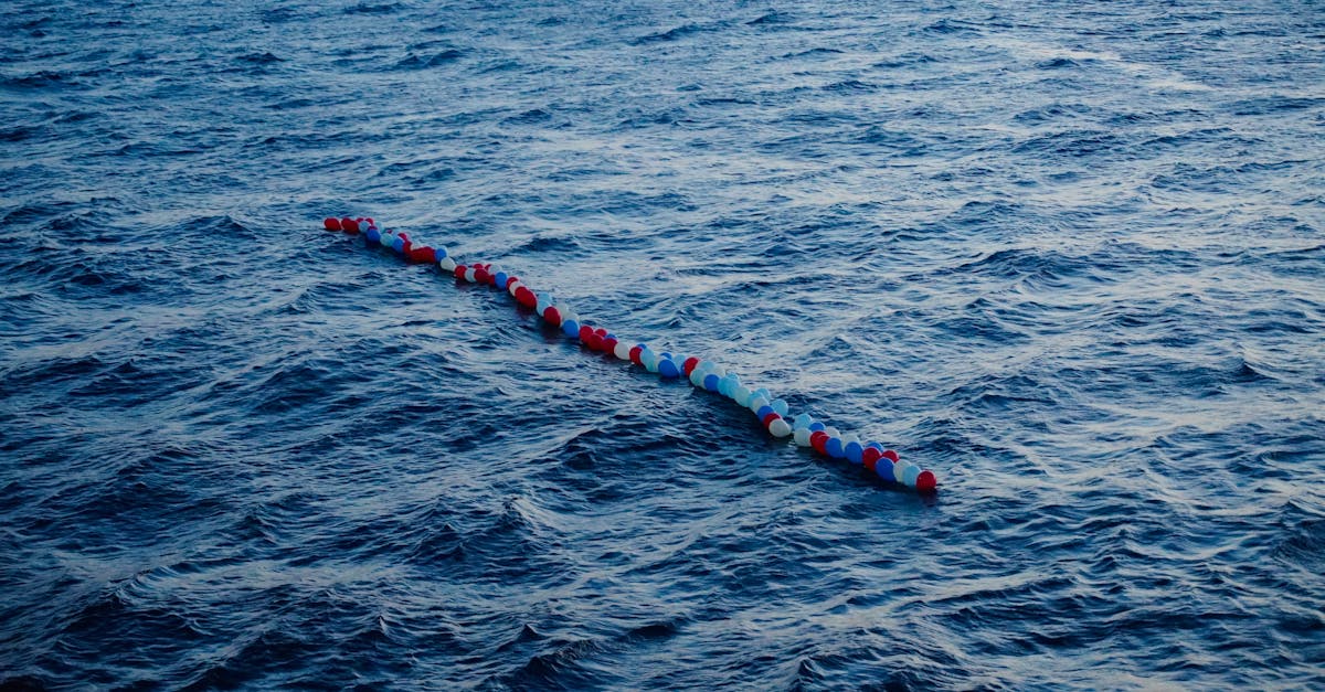 découvrez comment le financement climatique soutient les projets de transition écologique, aide à lutter contre le changement climatique et favorise le développement durable à l’échelle mondiale.