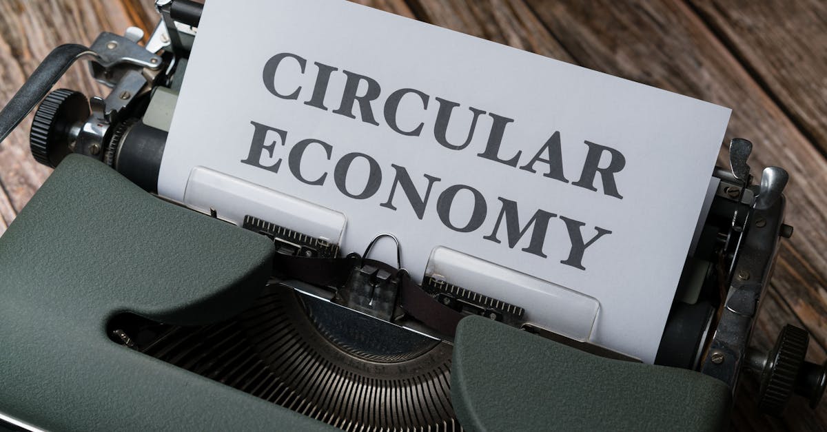 découvrez l'éco-innovation : nouvelles solutions durables et technologies vertes pour répondre aux défis environnementaux et transformer votre entreprise vers un avenir responsable.