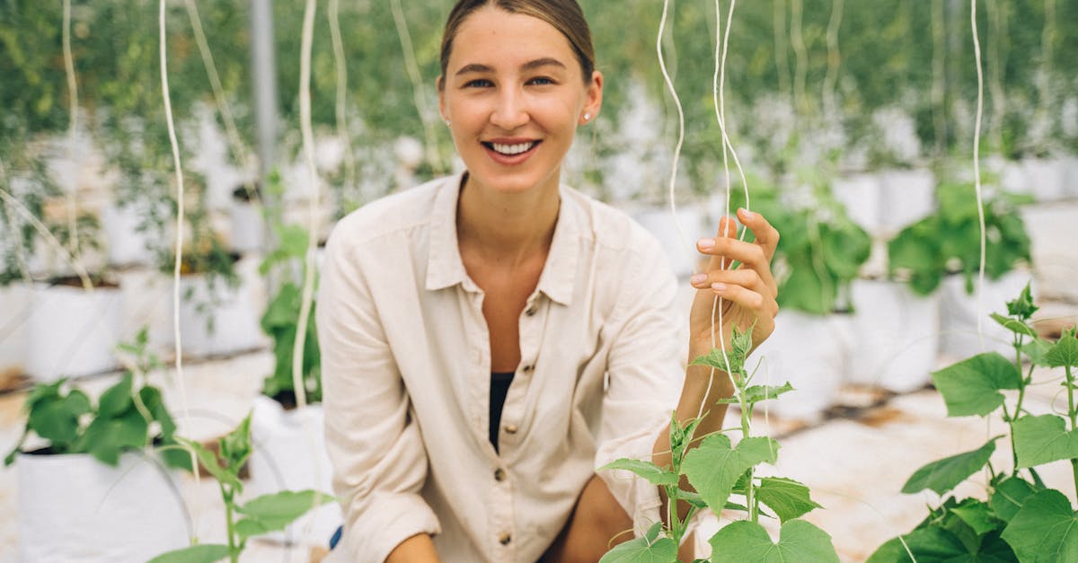 découvrez les dernières tendances et solutions en green innovation : technologies, stratégies et initiatives écologiques pour un avenir durable. transformez votre entreprise grâce à l'innovation verte.
