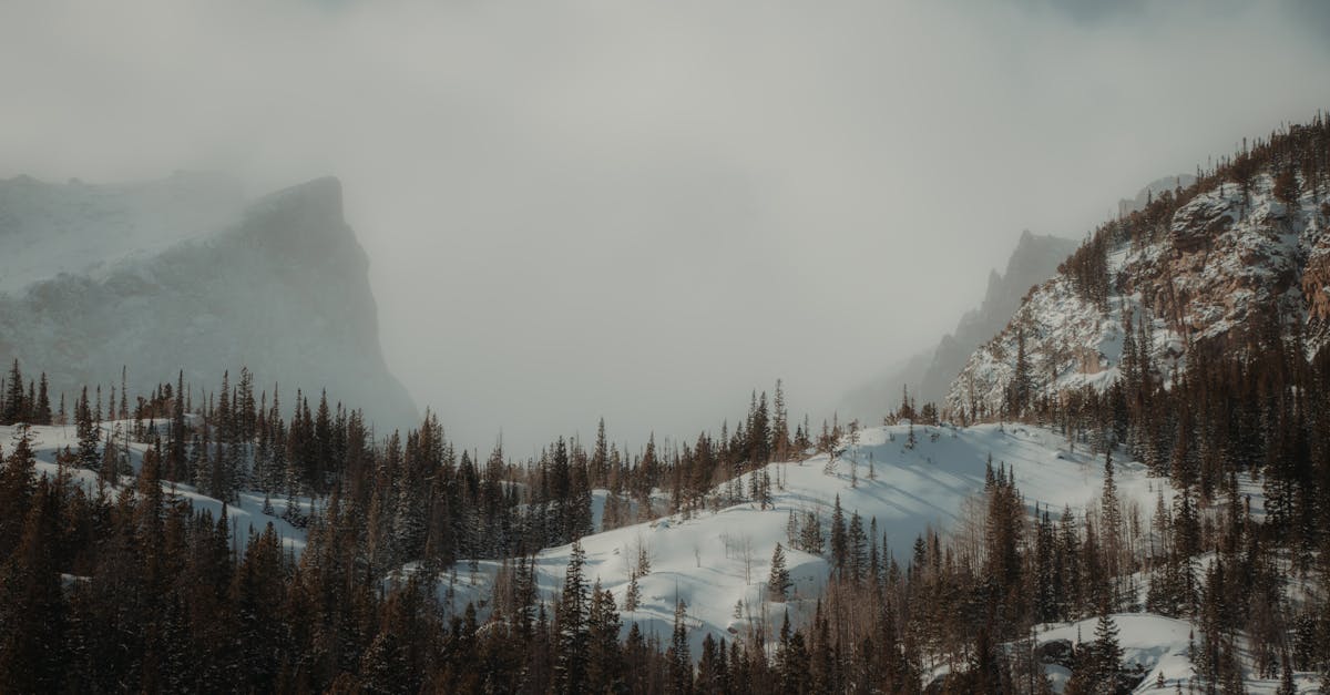 participez au climate summit pour découvrir les dernières avancées, initiatives et solutions en matière de lutte contre le changement climatique. rejoignez des experts et acteurs mondiaux engagés pour un avenir durable.
