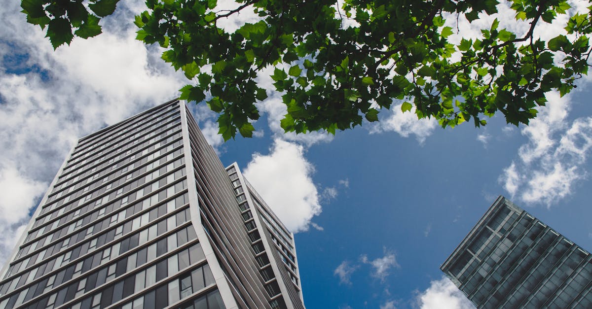 découvrez le green innovation district : un écosystème urbain durable dédié à l’innovation verte, rassemblant entreprises, startups et chercheurs autour de solutions respectueuses de l’environnement pour un avenir plus responsable.