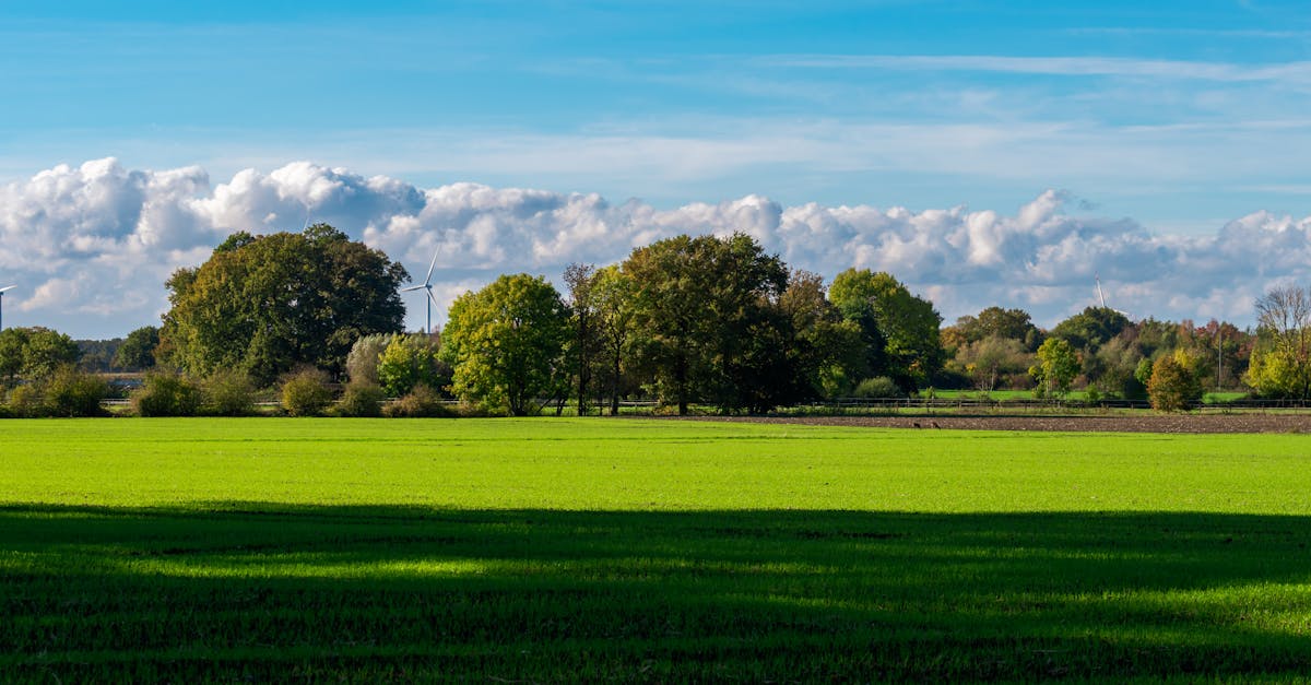 découvrez les enjeux, stratégies et actions des politiques climatiques pour lutter contre le changement climatique et promouvoir un avenir durable.