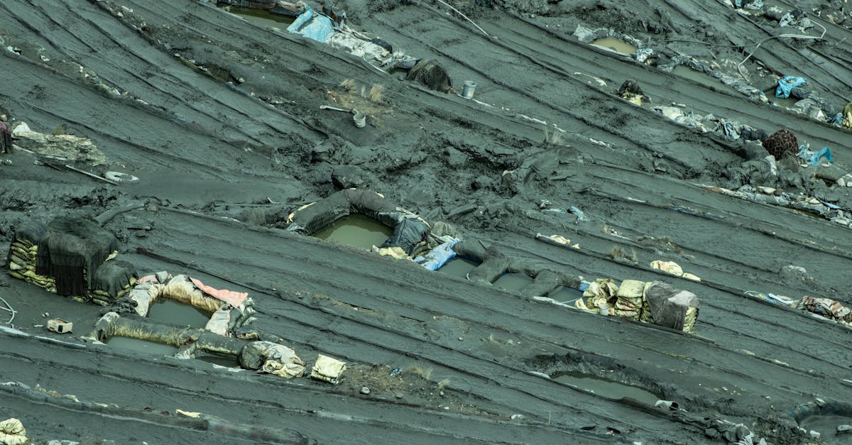découvrez les principaux défis environnementaux auxquels notre planète est confrontée aujourd'hui, leurs causes, leurs impacts sur l'écosystème et les solutions possibles pour un avenir durable.
