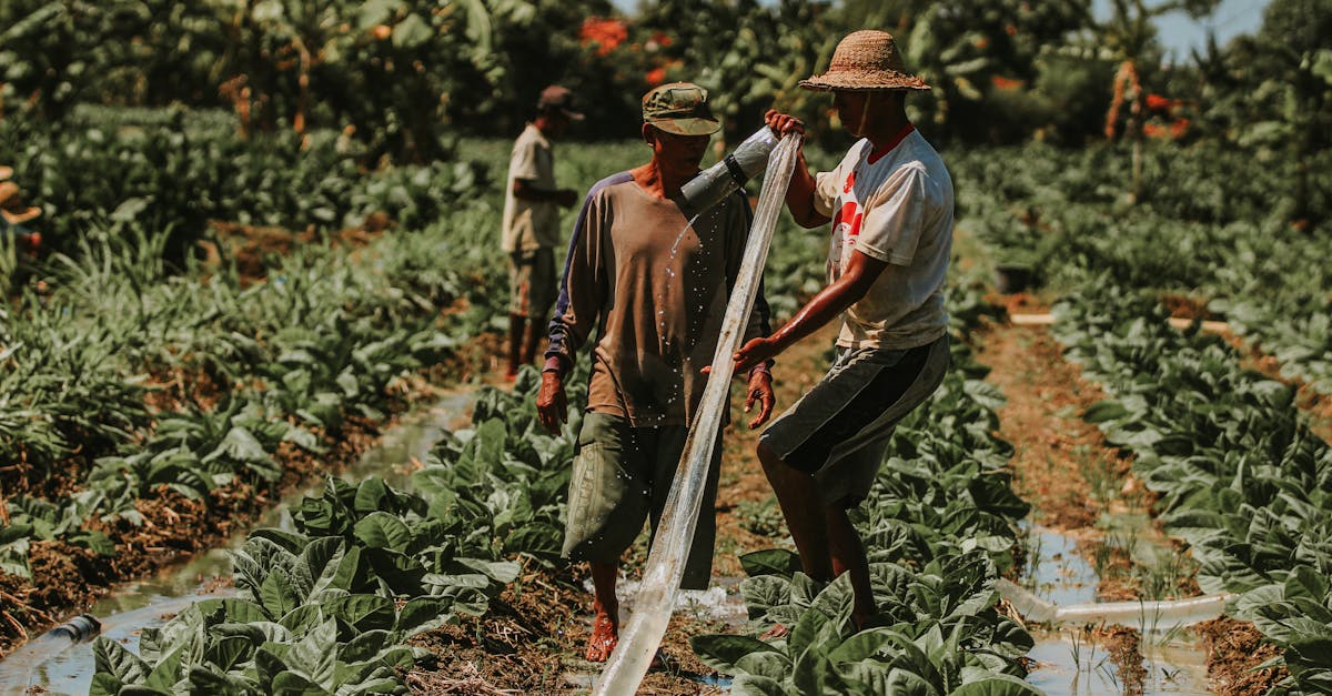 Une nouvelle stratégie pour le climat mondial : Les idées novatrices de Bill Gates