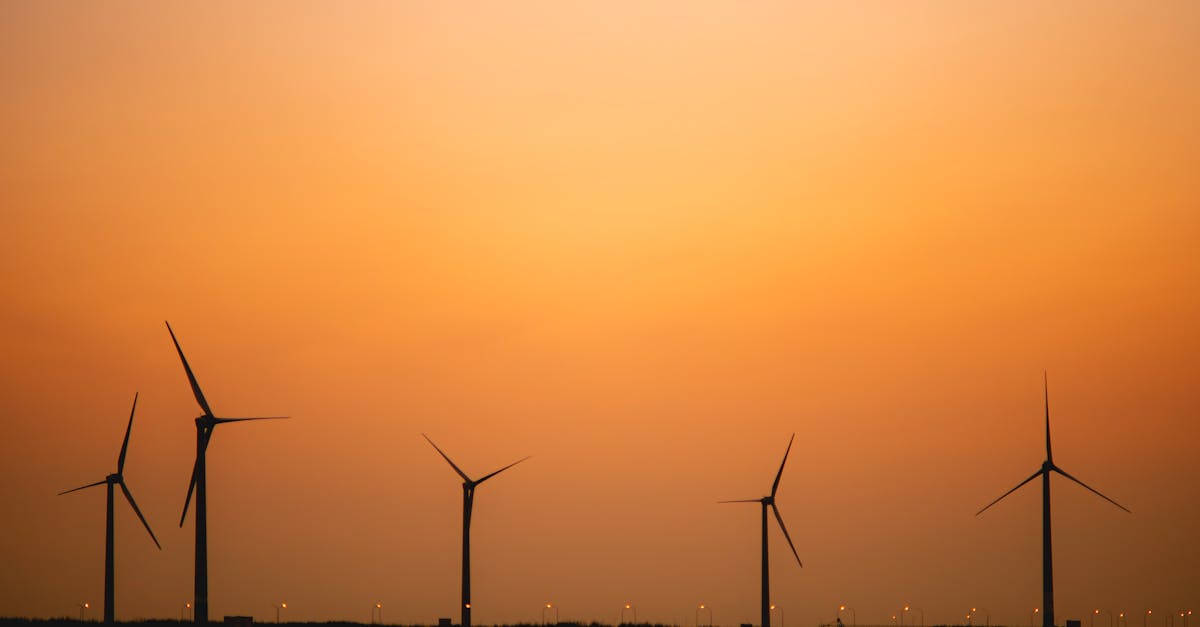 découvrez comment réussir la transition durable en adoptant des pratiques respectueuses de l’environnement et des solutions innovantes pour un avenir plus responsable.