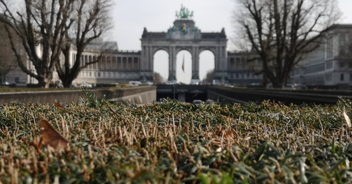 découvrez bruxelles, la capitale belge, célèbre pour son histoire, sa gastronomie, ses monuments emblématiques et son atmosphère cosmopolite. préparez votre visite avec nos conseils et informations pratiques.