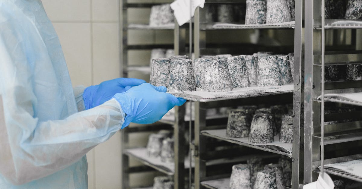 découvrez tout sur la production du fromage : étapes clés, savoir-faire artisanal, ingrédients principaux et secrets pour obtenir un fromage de qualité exceptionnelle.