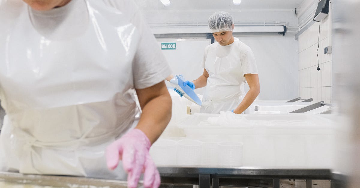 découvrez les étapes clés de la production du fromage : de la sélection du lait aux techniques d’affinage. apprenez comment sont fabriqués vos fromages préférés et explorez l’art de la fromagerie.