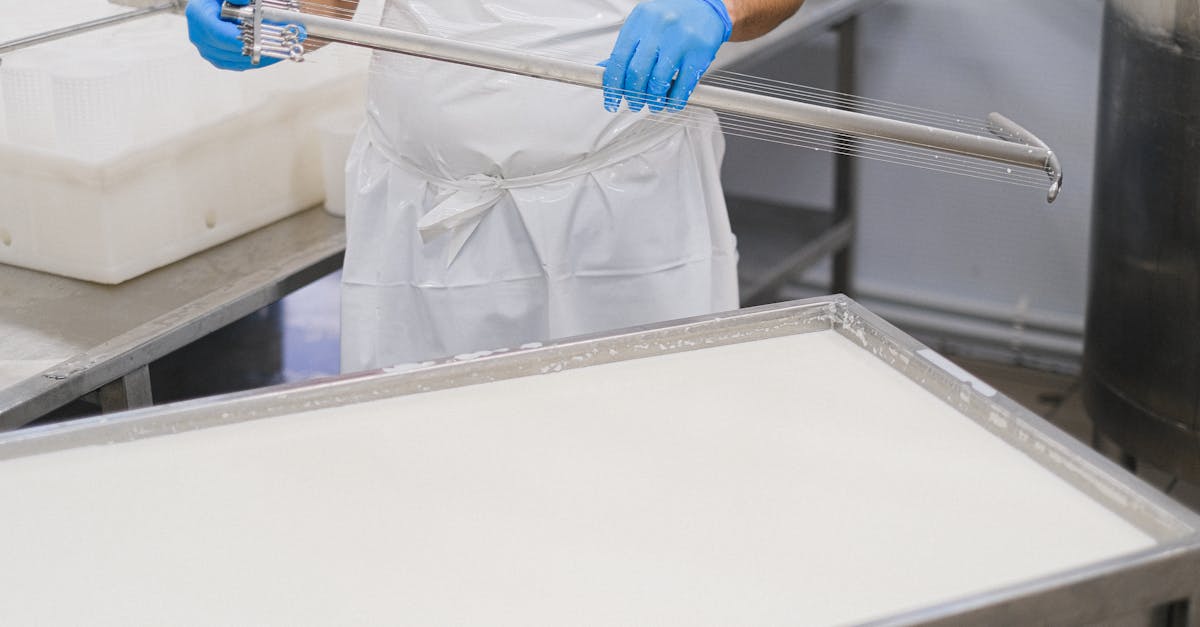 découvrez les étapes essentielles de la production de fromage, des techniques traditionnelles à la fabrication moderne. apprenez comment le lait se transforme en délicieux fromages à savourer.