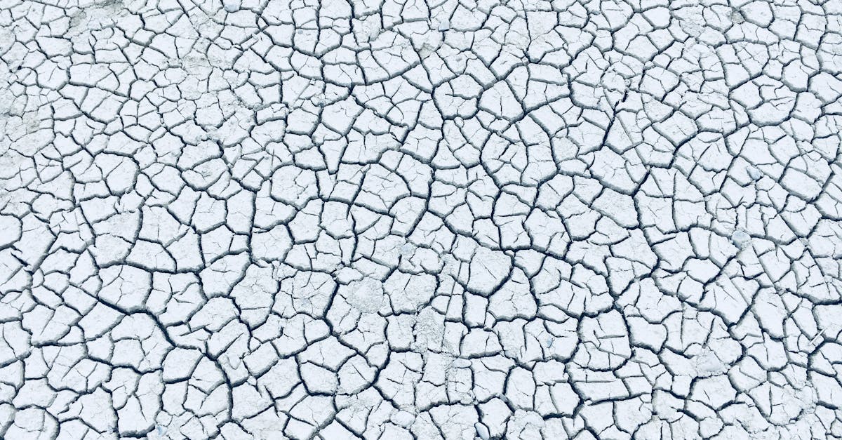 découvrez les engagements climatiques, leurs objectifs et leur importance pour la lutte contre le changement climatique. informez-vous sur les actions menées pour un avenir plus durable.