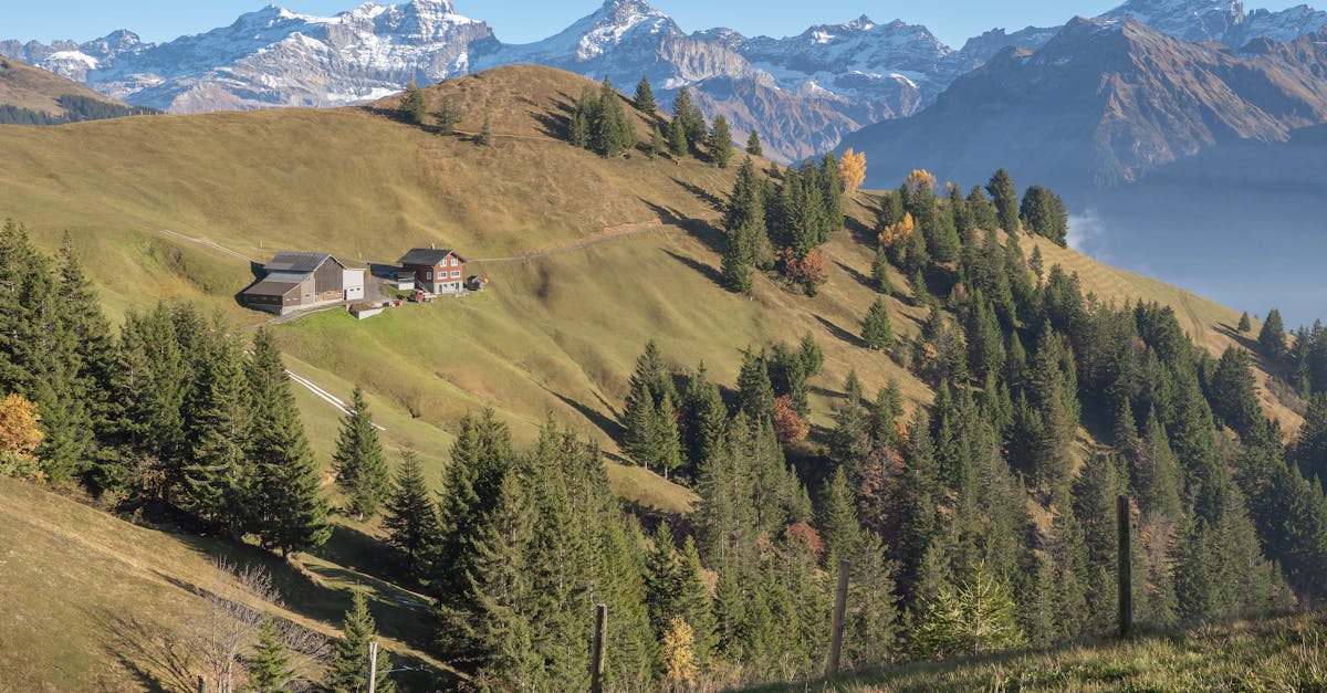 découvrez comment le financement climatique soutient la transition vers une économie bas carbone, favorise les investissements durables et aide à lutter contre le changement climatique à l’échelle mondiale.