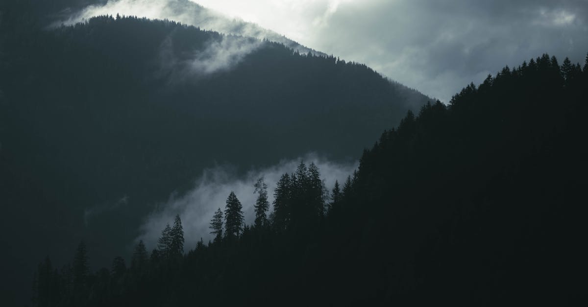 découvrez climate fresco, un atelier collaboratif pour comprendre les enjeux du changement climatique et agir ensemble en faveur de la transition écologique.