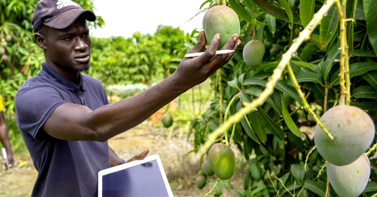 découvrez les dernières avancées et solutions en matière d'innovation climatique. explorez les technologies, initiatives et stratégies pour lutter contre le changement climatique et construire un avenir durable.