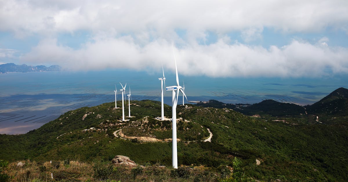découvrez les dernières avancées en matière d'innovation climatique : solutions durables, technologies vertes et initiatives contribuant à la lutte contre le changement climatique. informez-vous sur les tendances et les acteurs clés qui façonnent un avenir plus respectueux de l’environnement.